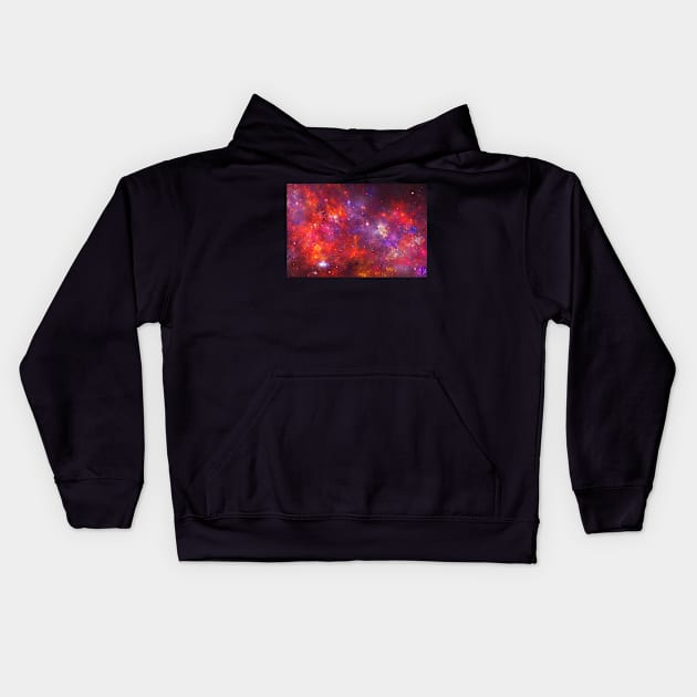 Wild cosmos 3 Kids Hoodie by krinichnaya